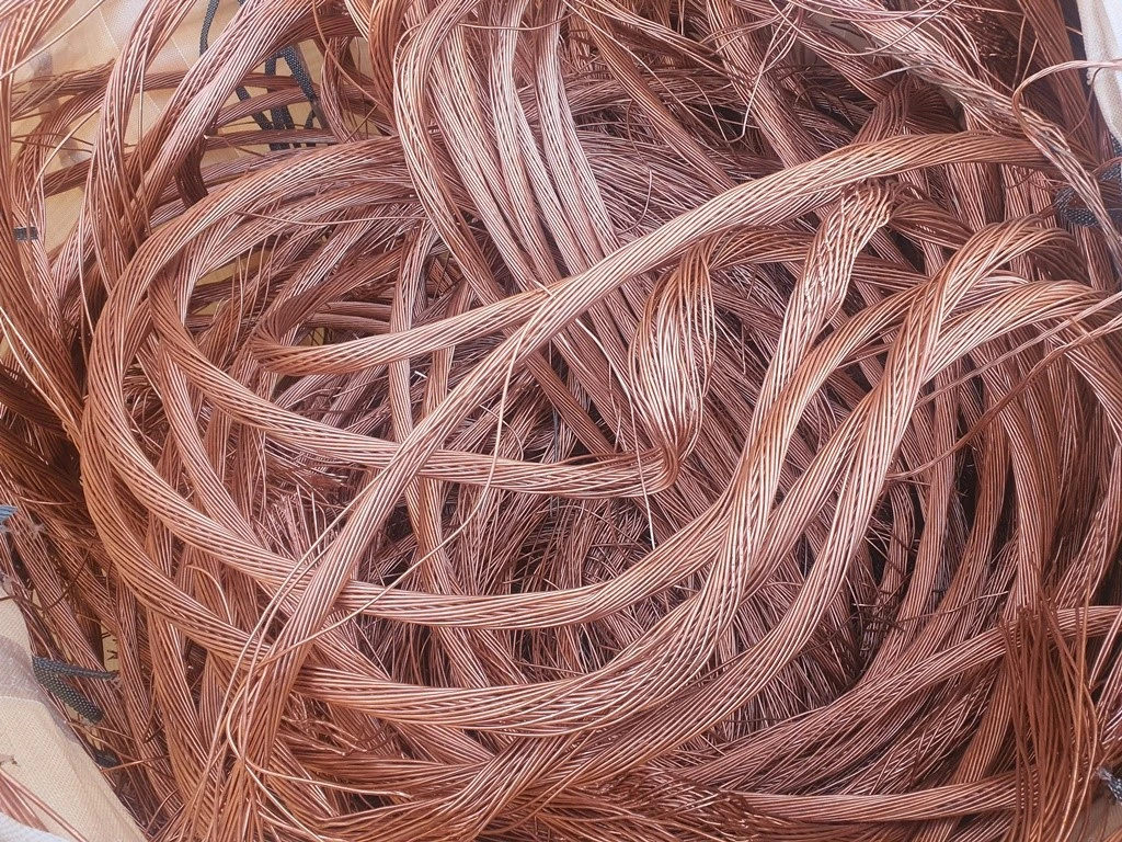 말레이시아向 수출 폐기물 원료 선적 전 검사